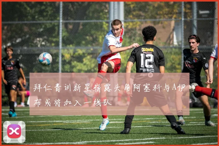 拜仁青训新星崭露头角阿塞科与A伊布或将加入一线队
